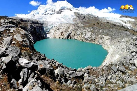 laguna 513